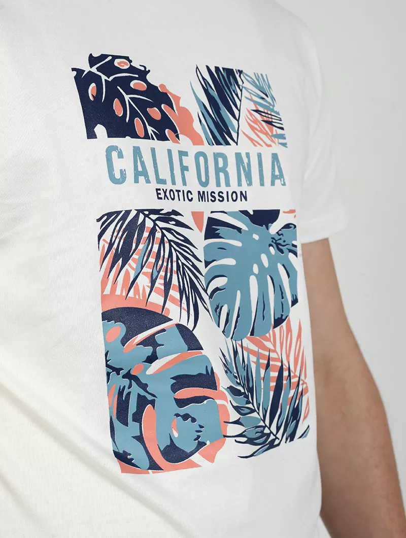 Tee Shirt Imprimé California